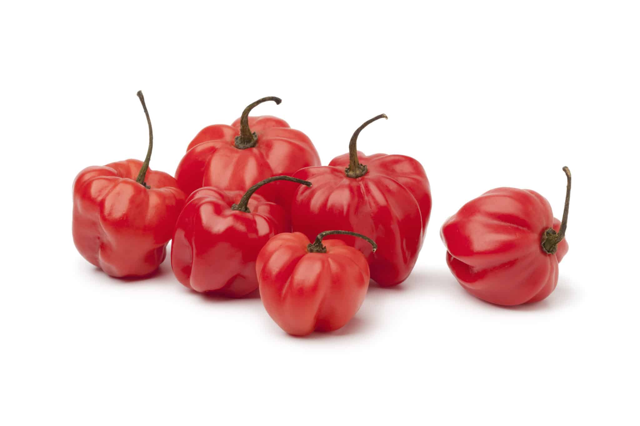 Chile Scotch Escala Scoville